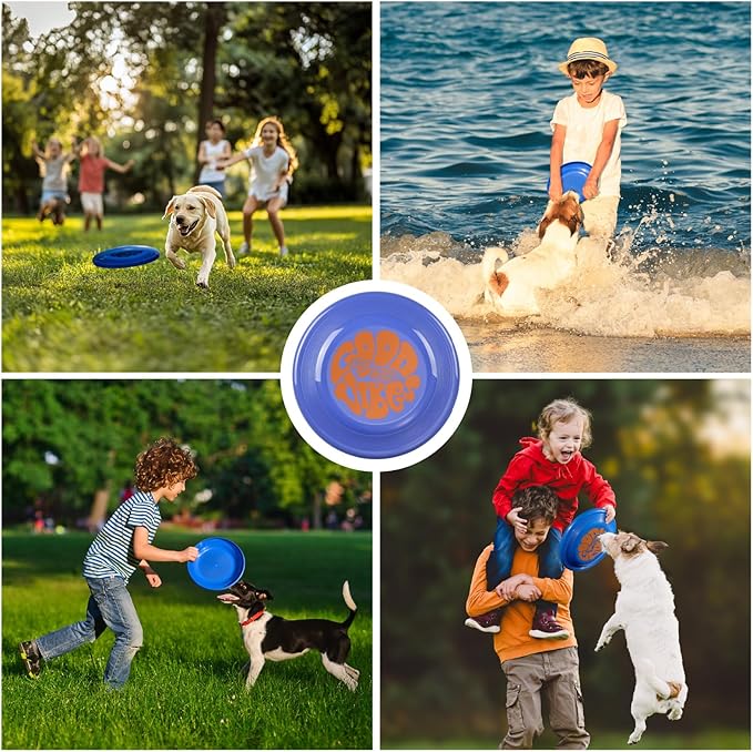 Wham-O Frisbee Fastback Flying Disc, 9.35 Inch Dog-Friendly Lightweight Sports Disc Toy for Outdoor