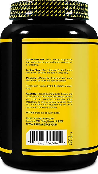 Primaforce Creatine Monohydrate Supplement – 1.5 KG - Micronized Powder