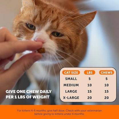 Cat Hip & Joint Health Crunchy & Creamy Chews - Cat Joint Support Supplement with Glucosamine