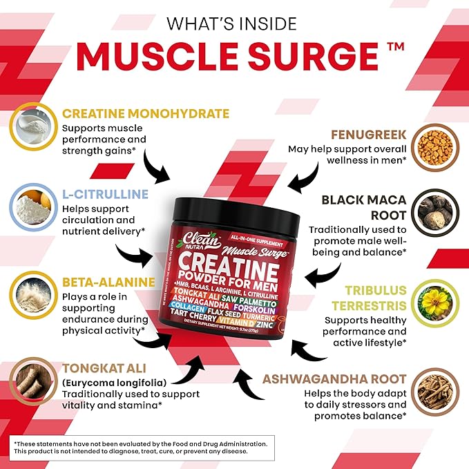 Clean Nutra Creatine Powder for Men + HMB BCAA L Arginine L Citrulline Tongkat Ali Saw Palmetto