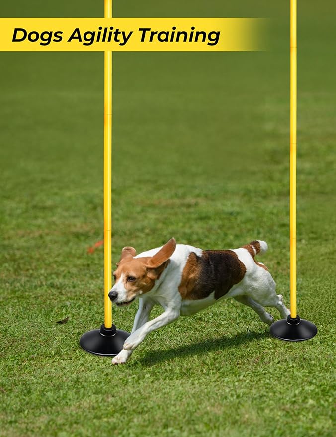 SEAOTTER Soccer Agility Poles Set, 4/6/10 Pcs 6ft Detachable Sports Trainning Speed Poles Slalom
