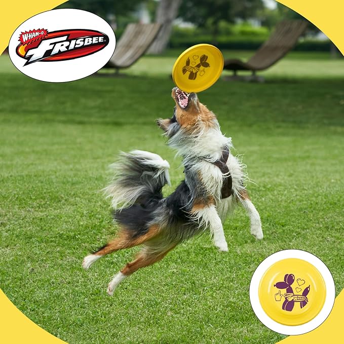 Wham-O Frisbee Fastback Flying Disc, 9.35 Inch Dog-Friendly Lightweight Sports Disc Toy for Outdoor