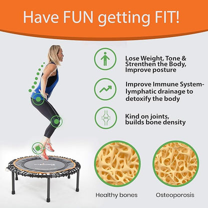 MXL FIT Bounce PRO Bungee Rebounder - Premium Indoor Mini Trampoline for Adults and Kids, Silent