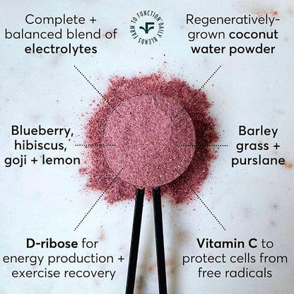 Low Sodium Electrolyte Drink Mix - Natural Electrolytes, Organic Fruits and Greens - No Added Sugar