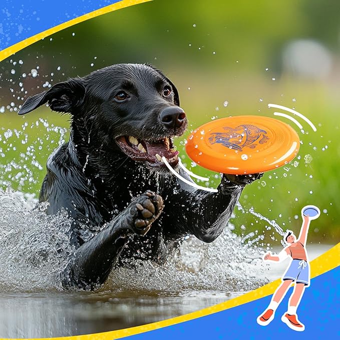 Wham-O Frisbee Go Flying Disc, 9 Inch Lightweight Sports Disc for Beginners Outdoor Beach Backyard