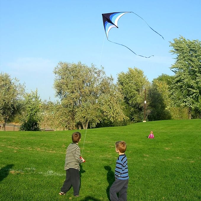 Mint's Colorful Life Delta Kite for Kids & Adults, Extremely Easy to Fly Kite, Best Kites for
