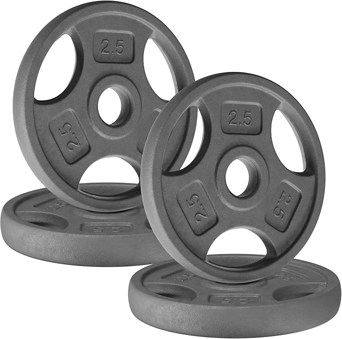 Yes4All Standard 1-Inch Grip Weight Plates, Cast Iron with Multiple Sizes from 2.5 lb to 35 lb for