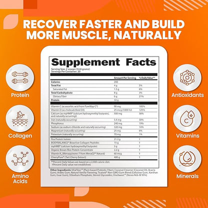 SaltWrap Protein Clinic – Total Body Recovery Shake with Collagen Peptides, HMB, Tart Cherry