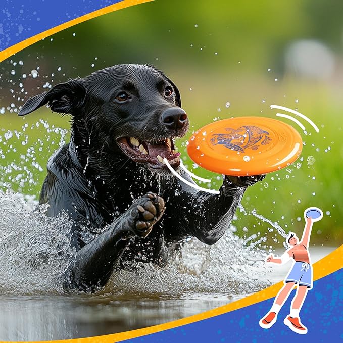 Wham-O Frisbee Go Flying Disc, 9 Inch Lightweight Sports Disc for Beginners Outdoor Beach Backyard