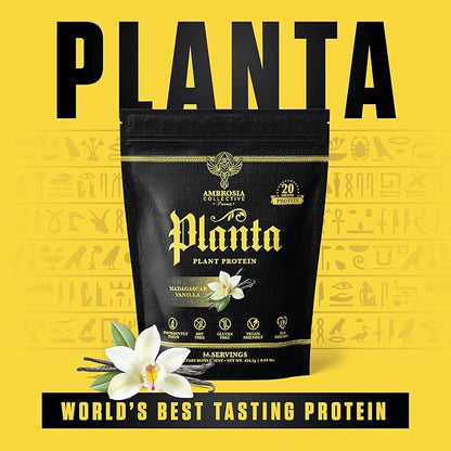 Ambrosia Planta - Premium Plant-Based Protein | Vegan & Keto Friendly | Gourmet Flavors with No