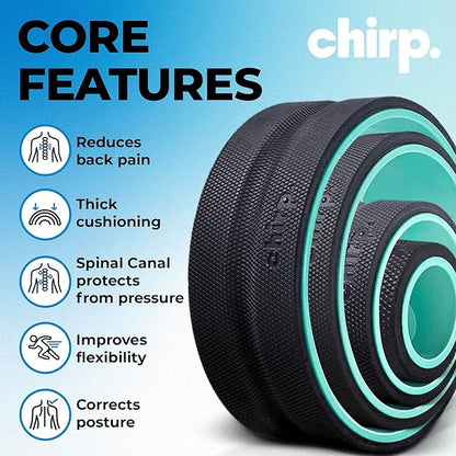 Chirp Wheel Foam Roller ??Targeted Back & Neck Relief, Lumbar Spine Stretcher, Spinal Decompression