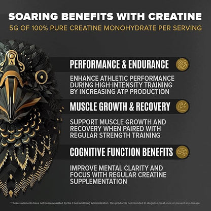 Falcon Performance Vegan Protein Powder, 31g Protein, 5g Creatine, 5g BCAA, Probiotics