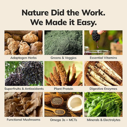 Ka?™Chava Whole Body Meal Shake Matcha 2 lb ??Vegan Protein Powder with 85+ Superfoods & Greens