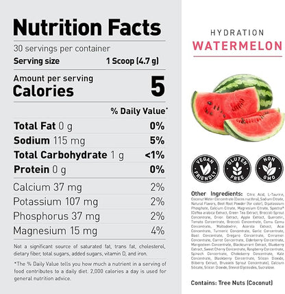 Kaged Hydration Electrolytes Powder | Watermelon | Hydra-Charge Sports Drink Mix | Pre, Post, Intra