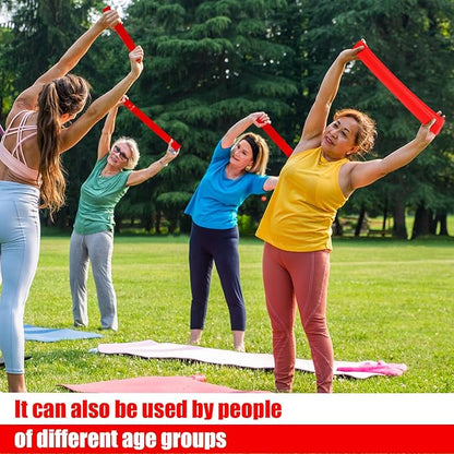 Deekin 20 Pcs Resistance Bands Resistance Loop Exercise Bands Exercise Equipment Elastic Drap Ring
