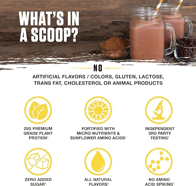 Ambrosia Planta - Premium Plant-Based Protein | Vegan & Keto Friendly | Gourmet Flavors with No