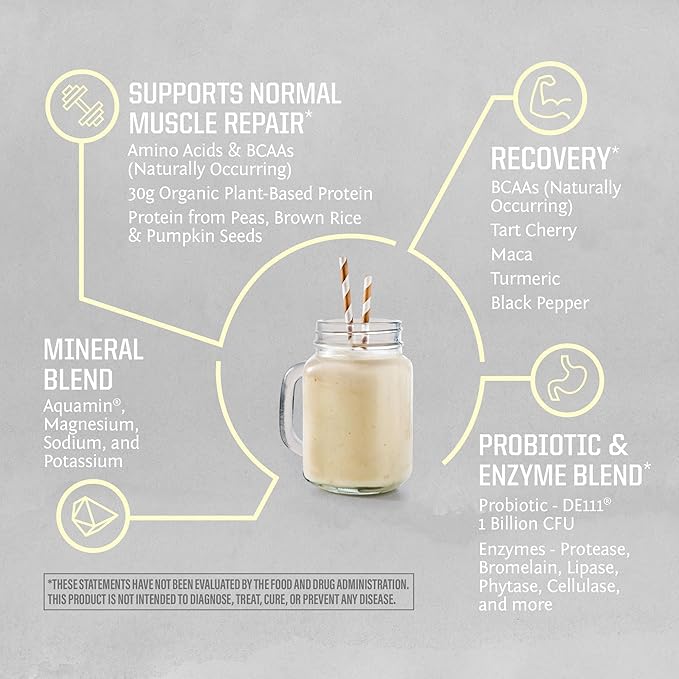 Sunwarrior Organic Plant Based Protein Powder | Vegan Organic Protein Powder with BCAA Amino Acids