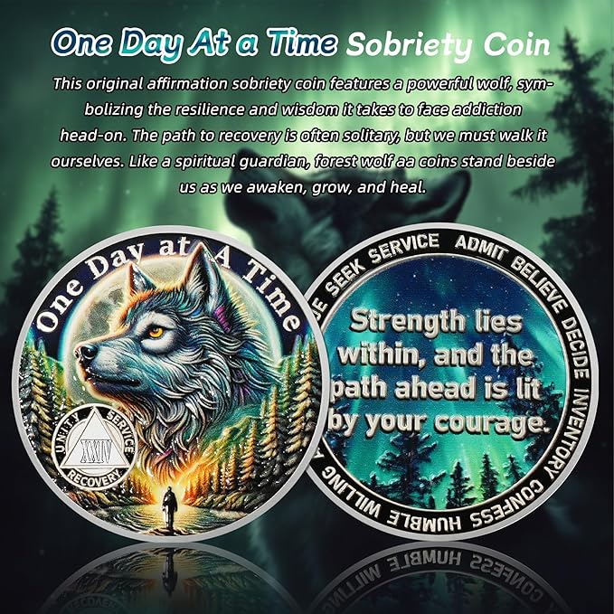 One Day At a Time 24 Year Sobriety Coin - Recovery Triangle Aurora Wolf AA Coins - Addiction NA AA