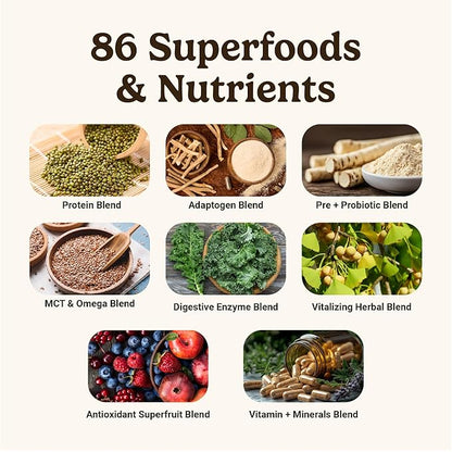 VitaHustle ONE Meal Replacement Shake - Plant Based Protein Powder by Kevin Hart - Vegan, Meal