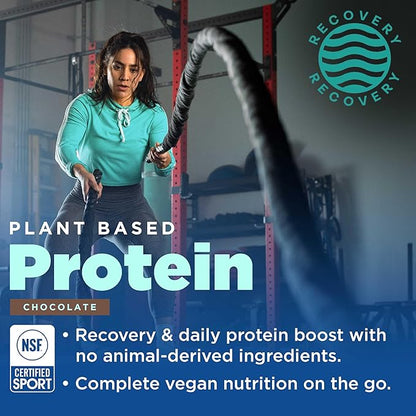 Gnarly Nutrition Vegan Plant Protein ??Chocolate Vegan Protein Powder, NSF Sport Certified ??Meal
