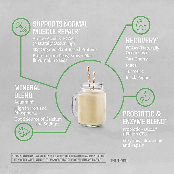 Sunwarrior Organic Plant Based Protein Powder | Vegan Organic Protein Powder with BCAA Amino Acids