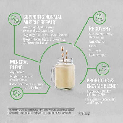 Sunwarrior Organic Plant Based Protein Powder | Vegan Organic Protein Powder with BCAA Amino Acids