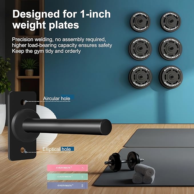 Weight Plate Holder, Wall Mounted Weight Storage Rack for Olympic Weight Plate,Home Gym