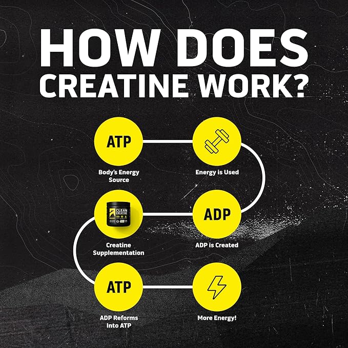 Ascent Clean Creatine Monohydrate Powder - 5G Per Serving, Creapure Creatine Supplement