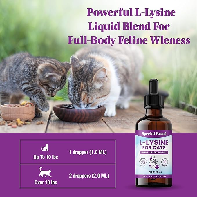 Special Breed L-Lysine for Cats & Kittens ??Immune, Respiratory & Eye Health Support ??Liquid Cat