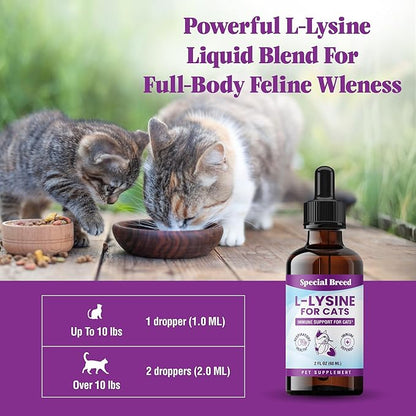 Special Breed L-Lysine for Cats & Kittens ??Immune, Respiratory & Eye Health Support ??Liquid Cat