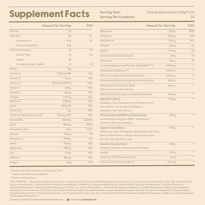 LyfeFuel All-in-One Essentials Nutrition Shake | Complete Meal Replacement Powder | 50+ Superfood