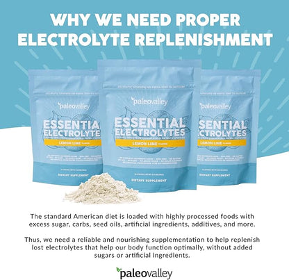 Paleovalley Essential Electrolytes Powder - Full Spectrum Lemon Lime Electrolyte Powder for