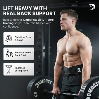 DMoose Fitness Weight Lifting Belt for Squats, Deadlift & Intense Workout - 6" Adjustable Fit Auto