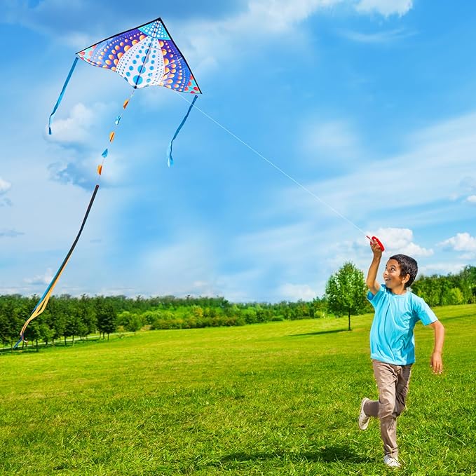 HONBO Large Delta Kite for Kids & Adults,Extremely Easy to Fly Kite for Beach Trip,String Line