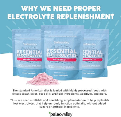 Paleovalley Essential Electrolytes Powder - Full Spectrum Watermelon Electrolyte Powder for