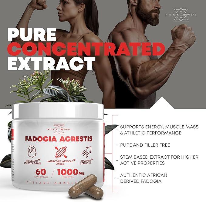 Fadogia Agrestis 1000mg Per Serving Supplement - Potent Extract to Increase Energy, Athletic