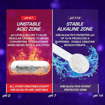 EFX Sports Kre-Alkalyn EFX Powder | pH Correct Creatine Monohydrate Powder Supplement | Strength