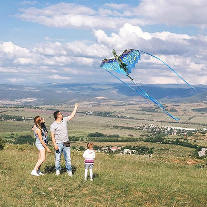 Mint's Colorful Life Dragon Kite for Kids & Adults, Easy to Fly Best Beach Kites for Beginners