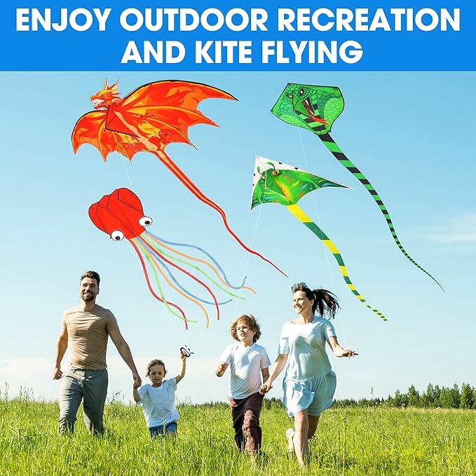 Large Kites for Adults Kites for Kids Ages 4-8， 8-12 Beach Park Outdoor Game Activities, Gifts for