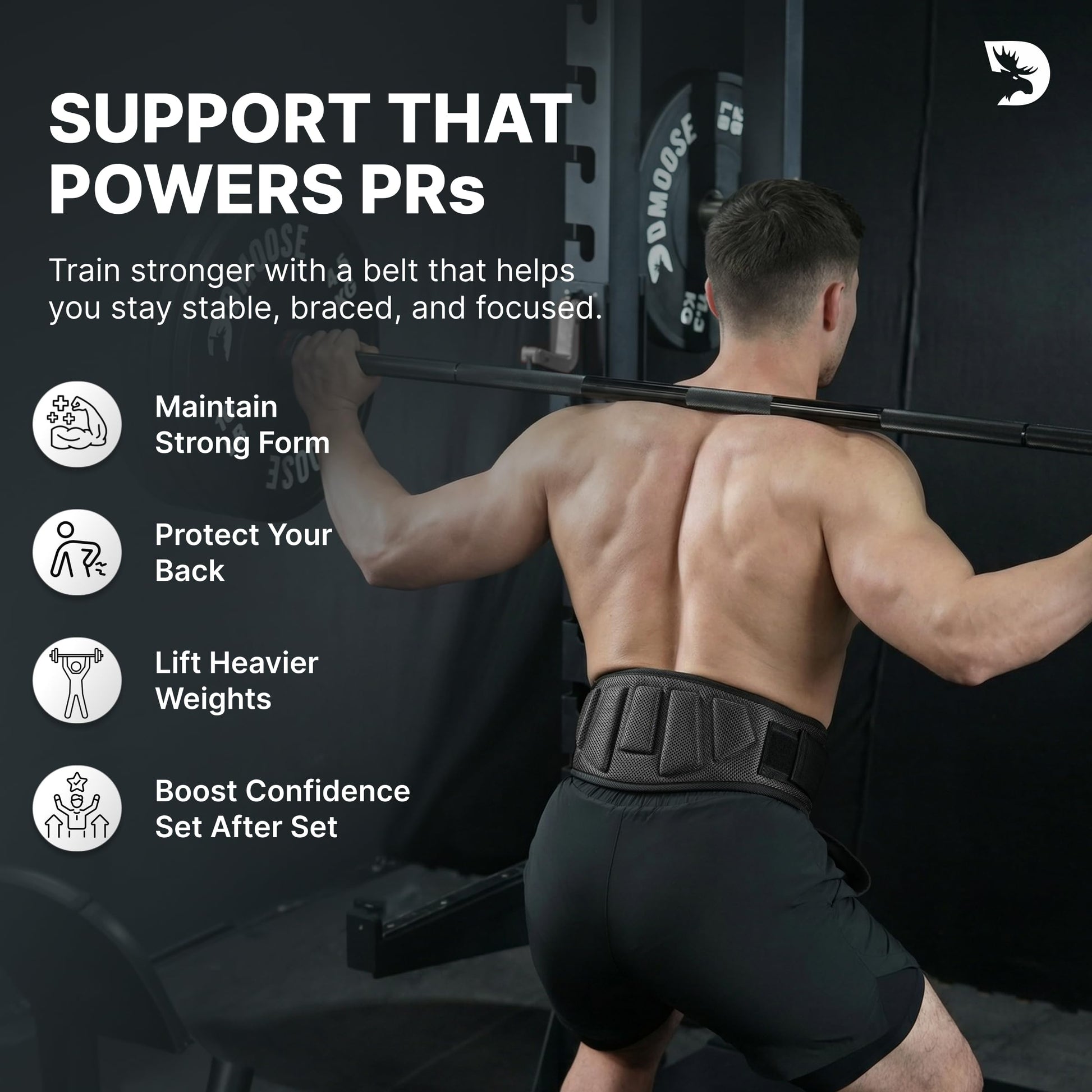 DMoose Fitness Weight Lifting Belt for Squats, Deadlift & Intense Workout - 6" Adjustable Fit Auto