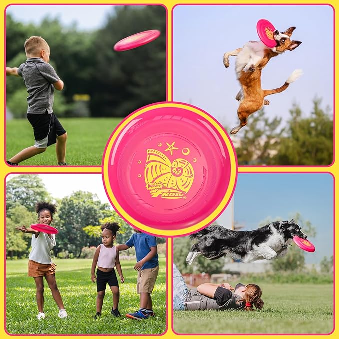 Wham-O Frisbee Go Flying Disc, 9 Inch Lightweight Sports Disc for Beginners Outdoor Beach Backyard
