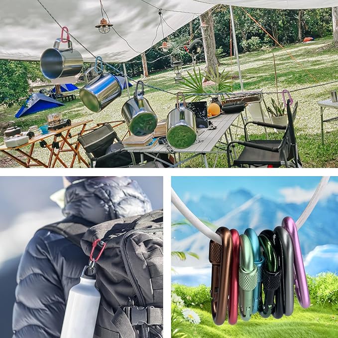 Carabiner, 2 inch D-Ring Locking Carabiner Clip, Snap Hook Sport Accessories for Outdoor Camping