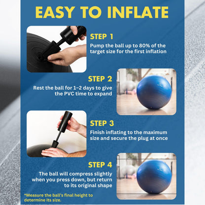 ProBody Pilates Yoga Ball - Gym Grade Exercise Ball (Blue, 65cm)