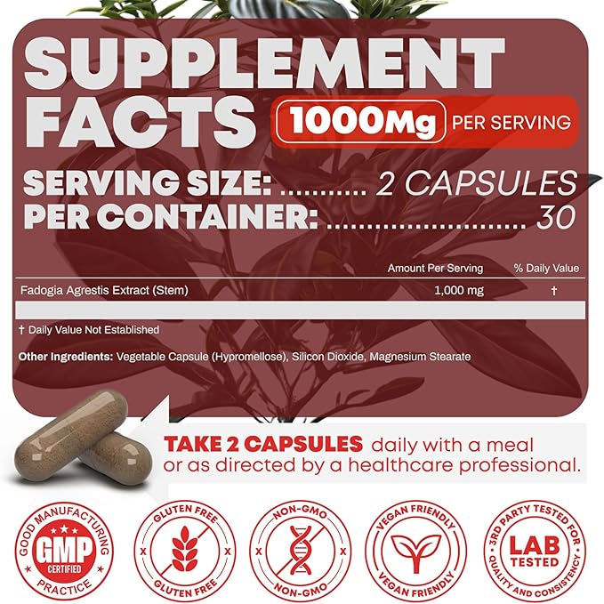 Fadogia Agrestis 1000mg Per Serving Supplement - Potent Extract to Increase Energy, Athletic