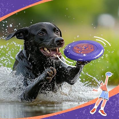 Wham-O Frisbee Go Flying Disc, 9 Inch Lightweight Sports Disc for Beginners Outdoor Beach Backyard