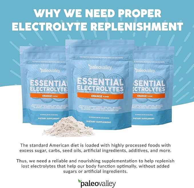 Paleovalley Essential Electrolytes Powder - Full Spectrum Orange Electrolyte Powder for Hydration