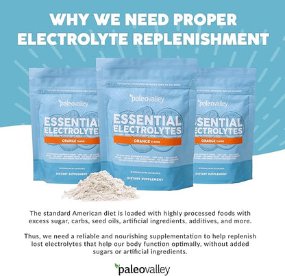 Paleovalley Essential Electrolytes Powder - Full Spectrum Orange Electrolyte Powder for Hydration