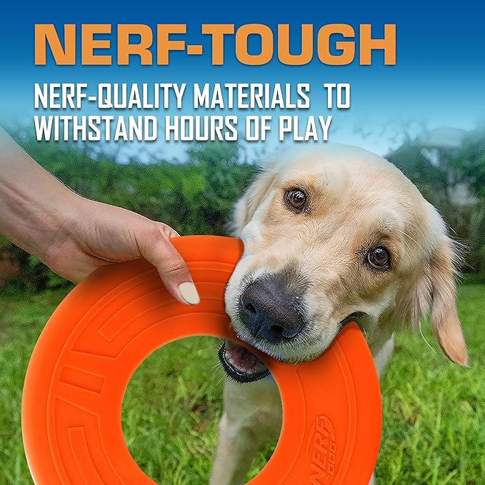 Nerf Dog Atomic Flyer Outdoor Dog Toy, 10 Inch Flying Disc Dog Fetch Toy, Rubber Dog Toy for Medium