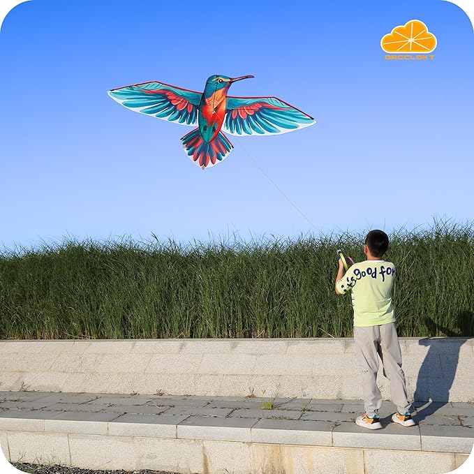 ORGCLDKT- 3D Lifelike Style Bird/Eagle Kite, Super Easy to Fly with, Ideal for Kids, Adults, Girls