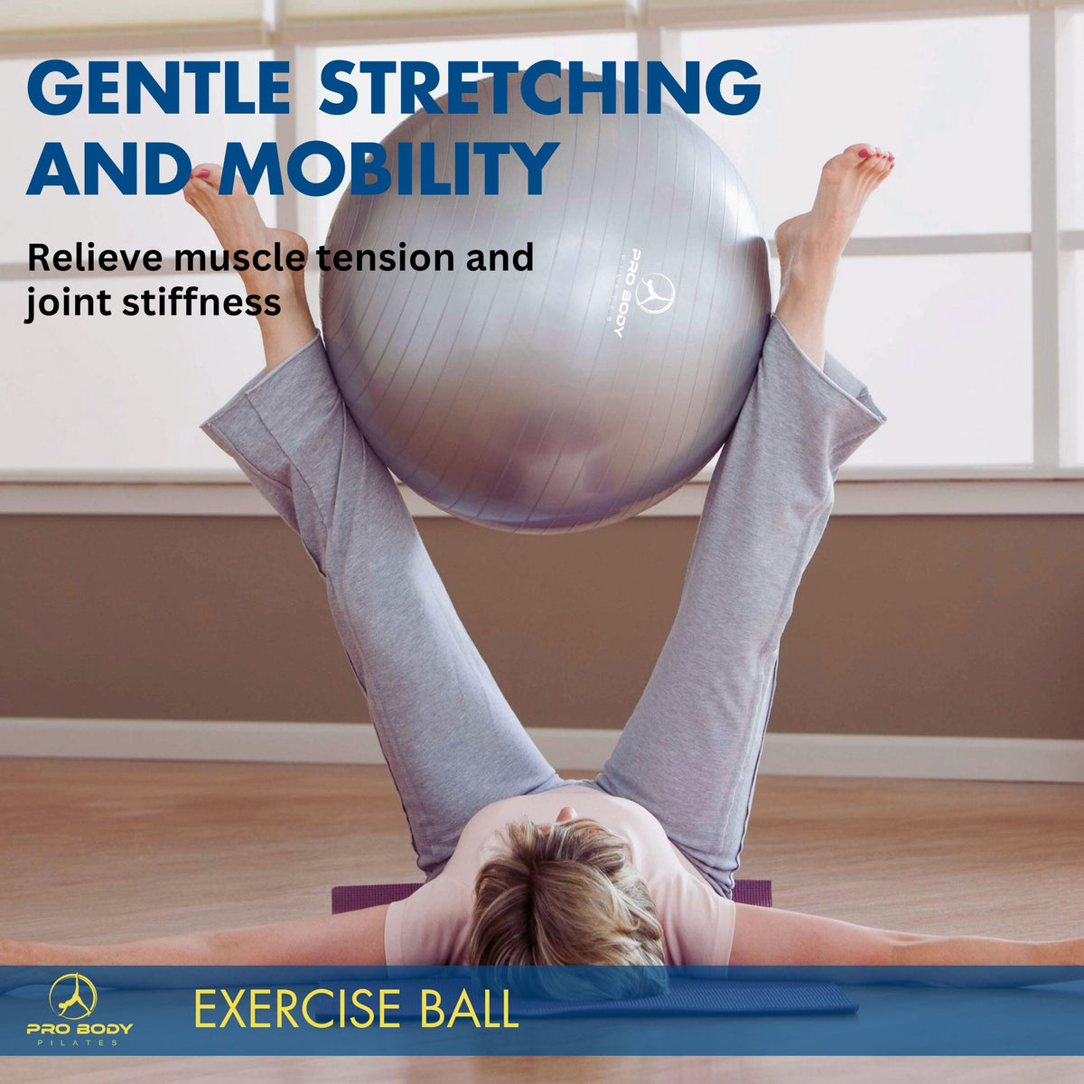ProBody Pilates Yoga Ball - Gym Grade Exercise Ball (Blue, 65cm)
